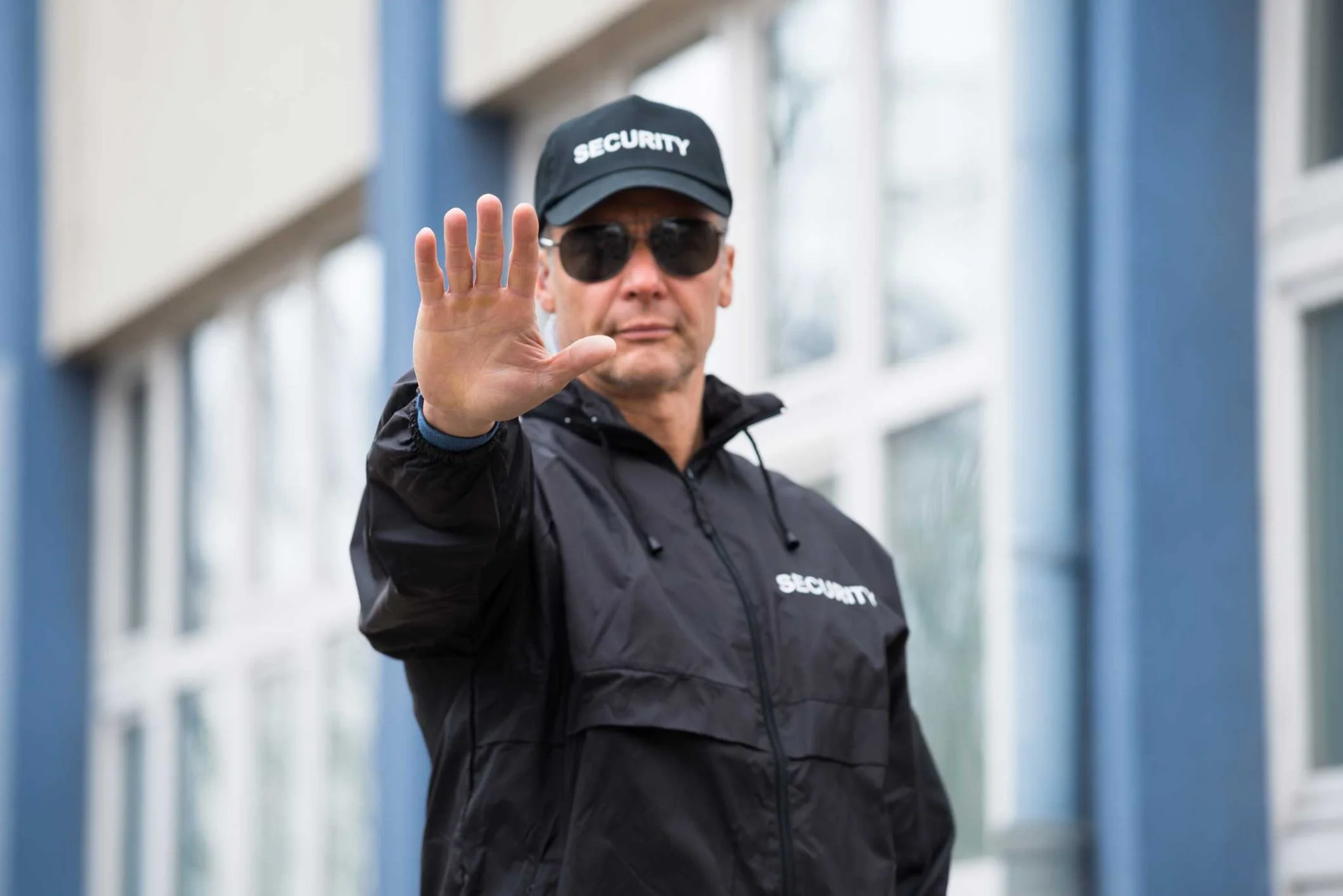 Professional Security Guard